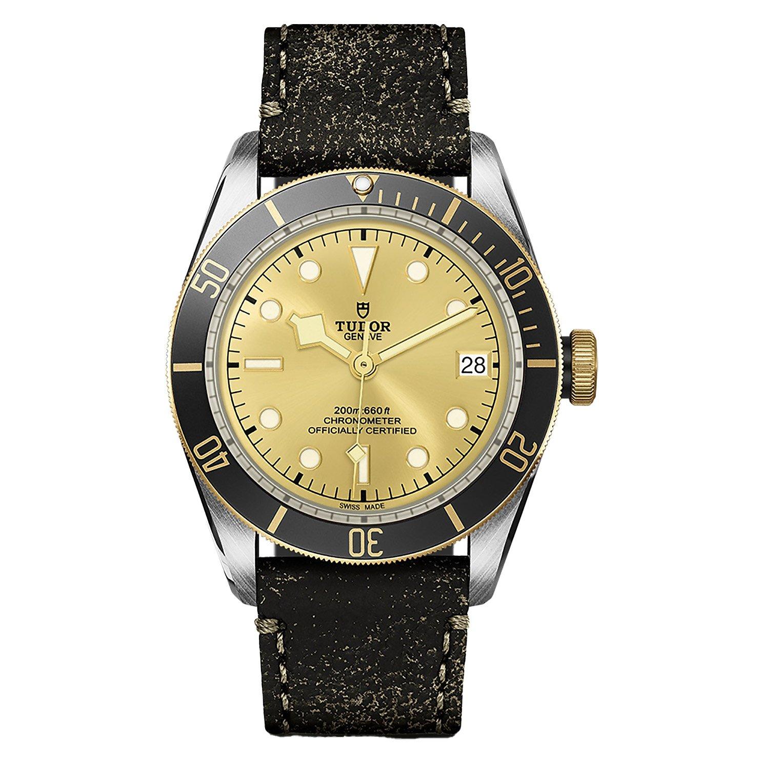 TUDOR Black Bay S&G 41mm Automatic Menâs Watch